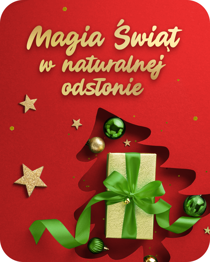 Świąteczna kampania – baner główny