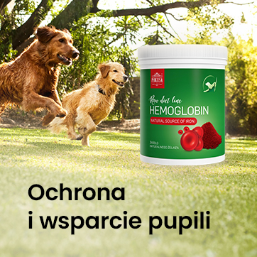 Ochrona i wsparcie dla pupili