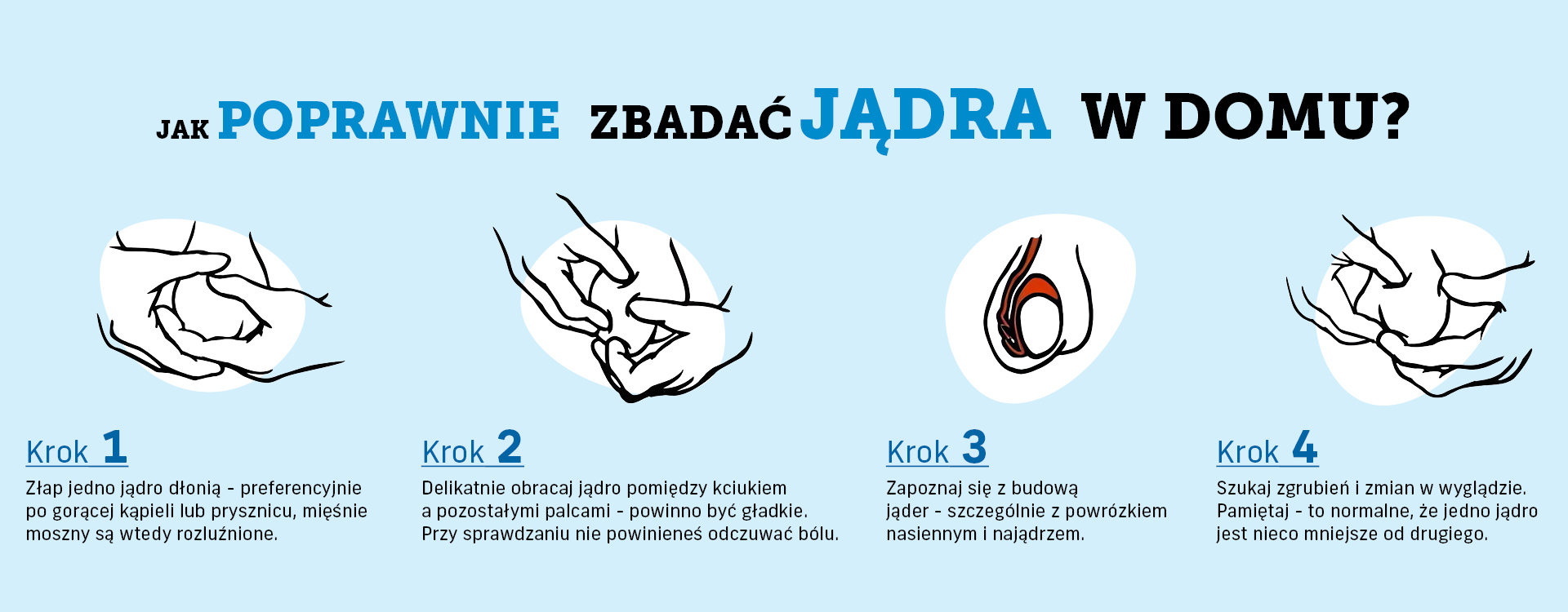 Samobadanie jąder – infografika