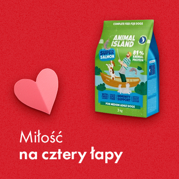 Miłość na cztery łapy