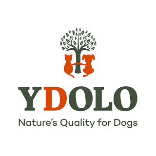 YDOLO