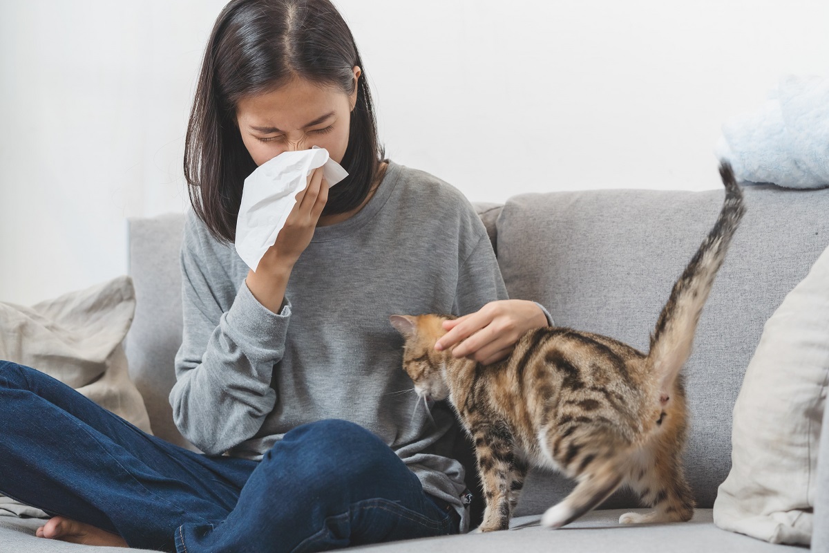 Alergia jesienią – zwierzęta