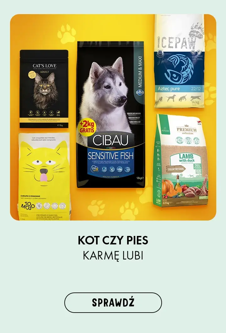 Kot czy pies karmę lubi - sprawdź ofertę