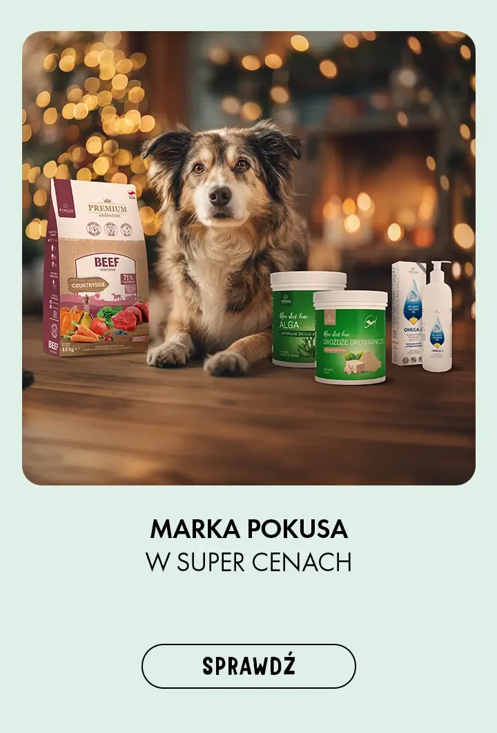 marka Pokusa w super cenach