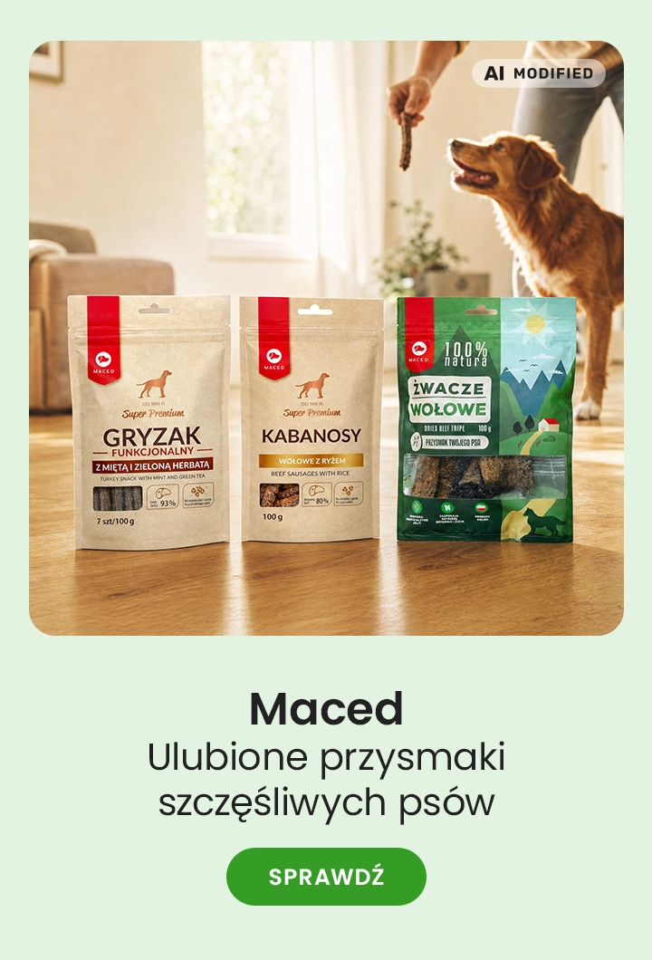 Maced – ulubione przysmaki szczęśliwych psów