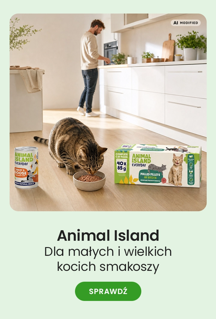 Animal Island – dla małych i wielkich kocich smakoszy