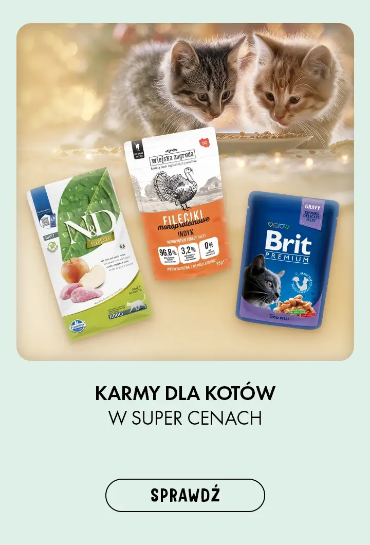 Karmy dla kotów w super cenach