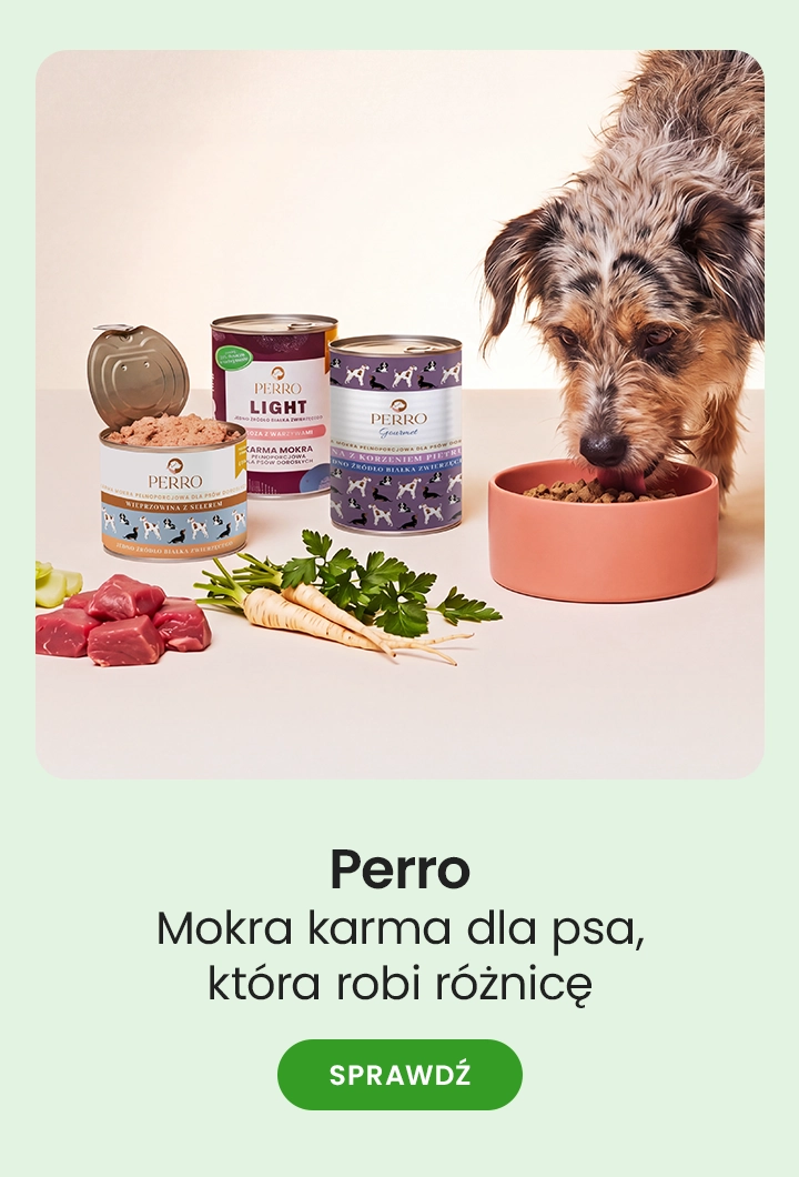 Perro – mokra karma dla psa, która robi różnicę