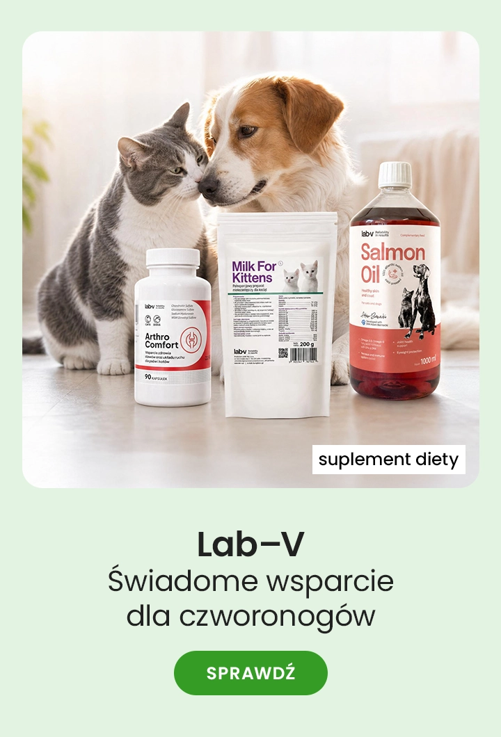 LAB-V — świadome wsparcie dla czworonogów