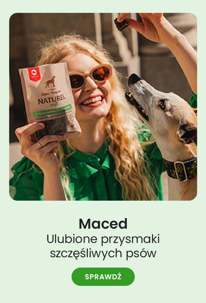 Maced – ulubione przysmaki szczęśliwych psów