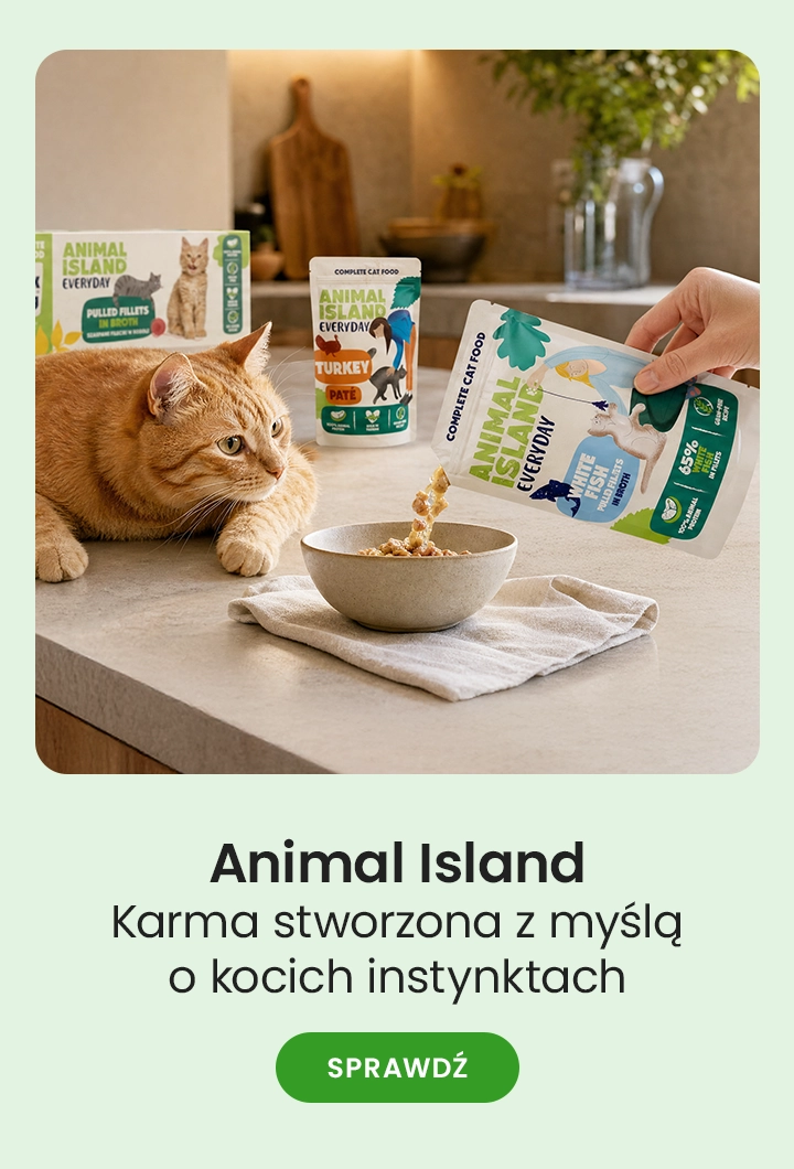 Animal Island – karma stworzona z myślą o kocich instynktach