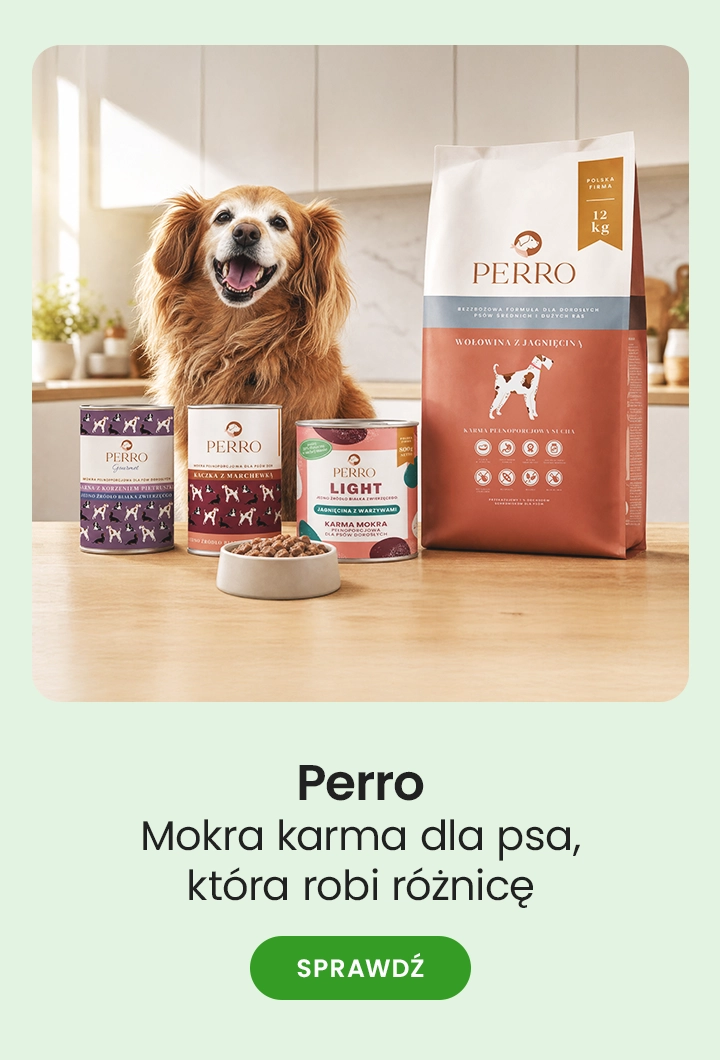Perro – mokra karma dla psa, która robi różnicę