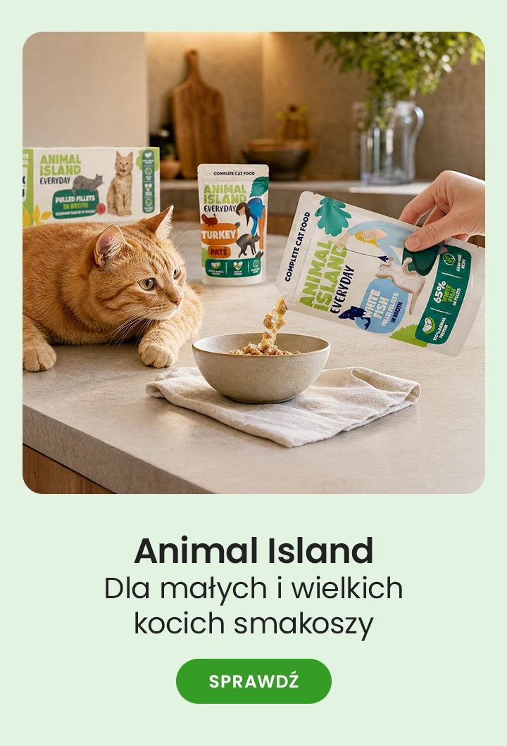Animal Island – dla małych i wielkich kocich smakoszy