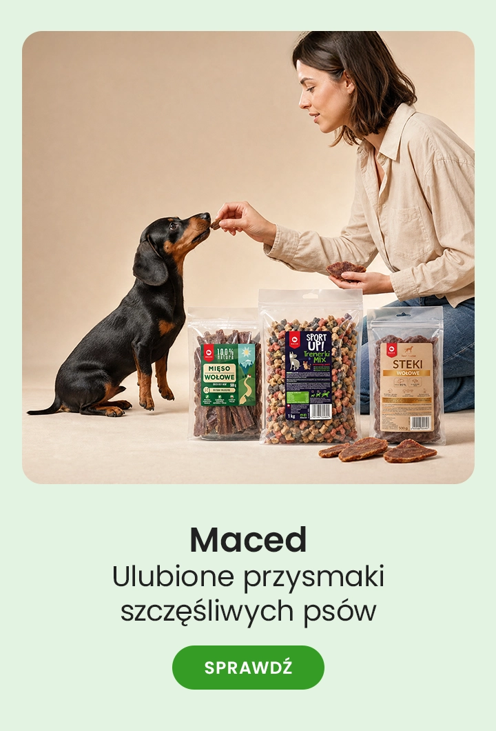 Maced – ulubione przysmaki szczęśliwych psów
