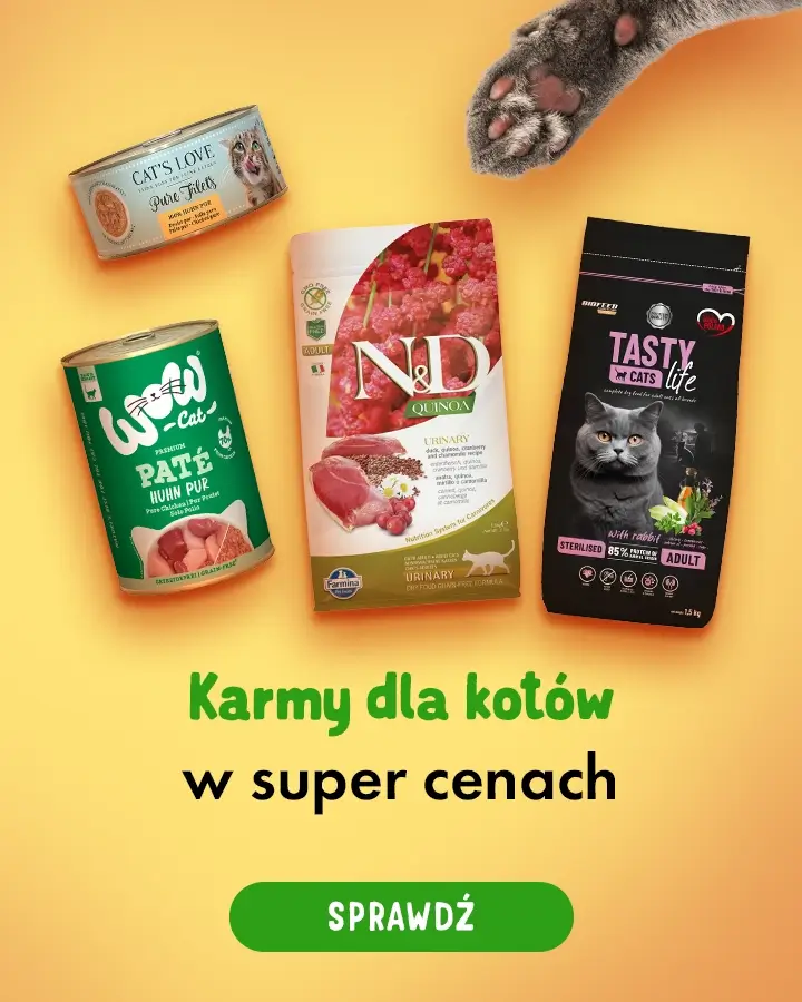Karmy dla kotów w super cenach