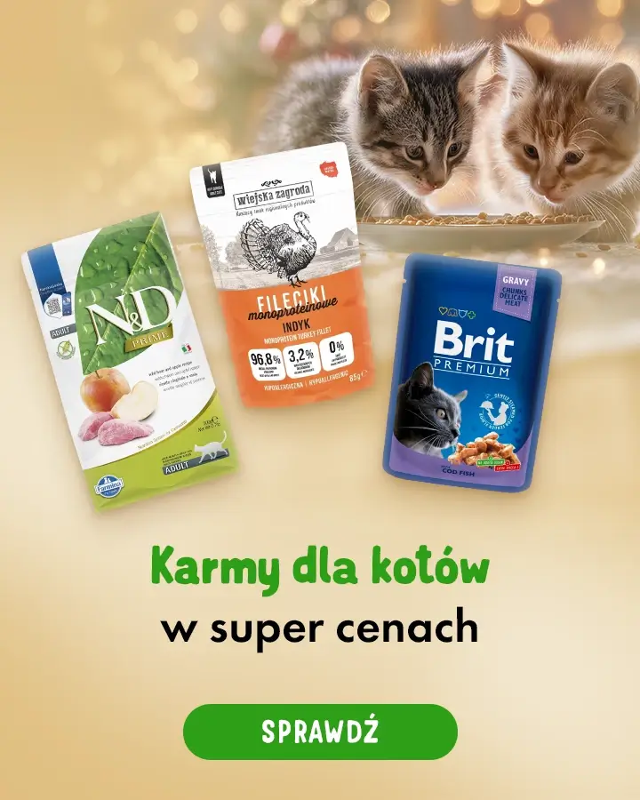 Karmy dla kotów w super cenach