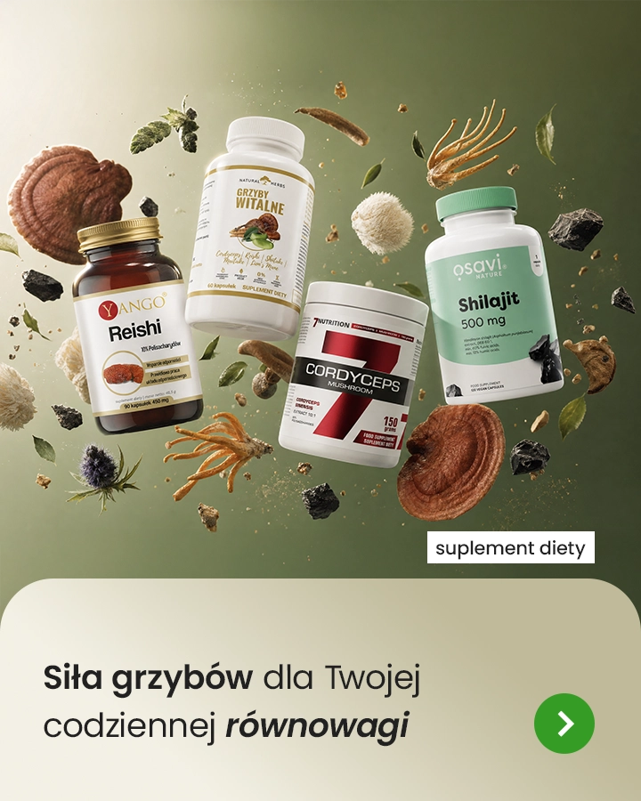 Siła grzybów dla Twojej codziennej równowagi
