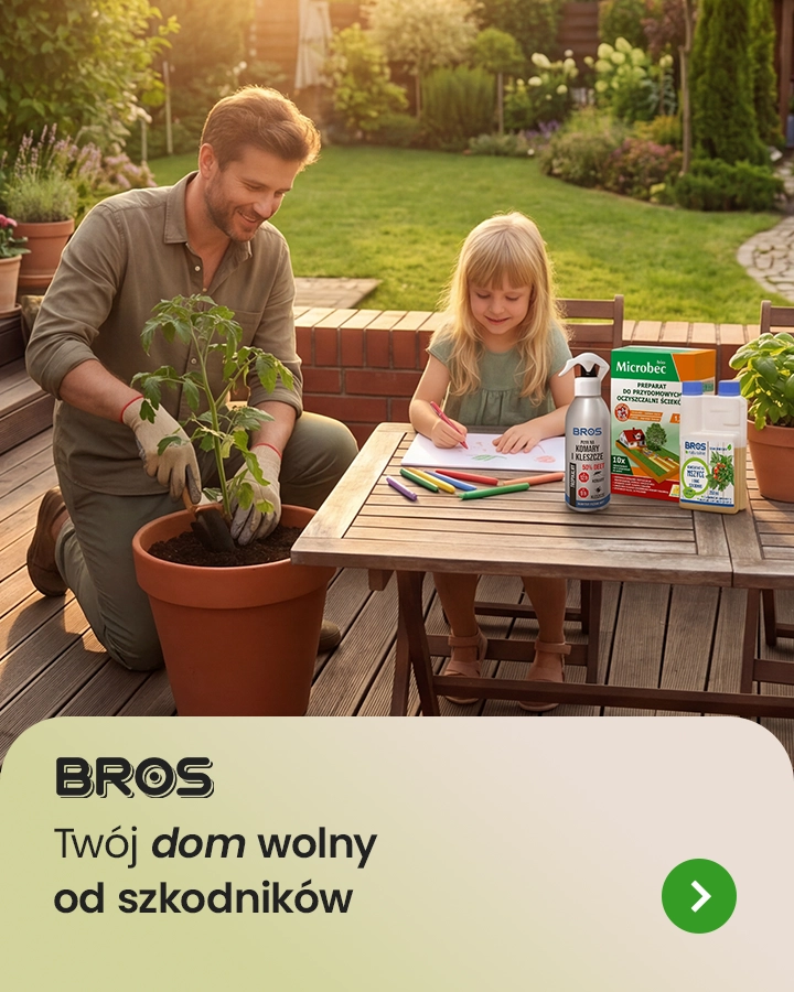 Bros (na stałe)