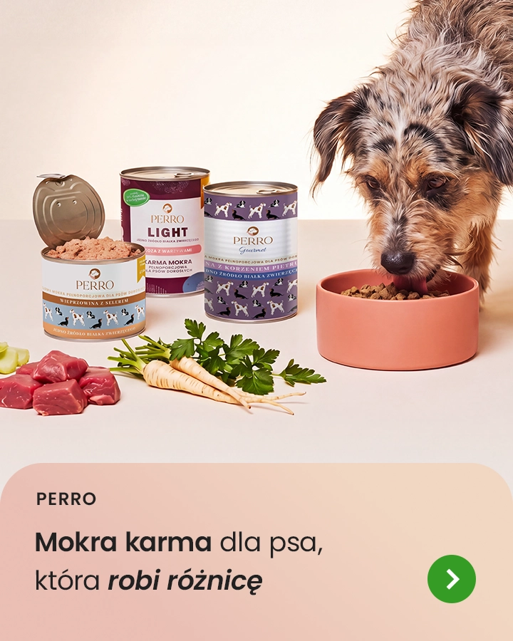 Perro – mokra karma dla psa, która robi różnicę