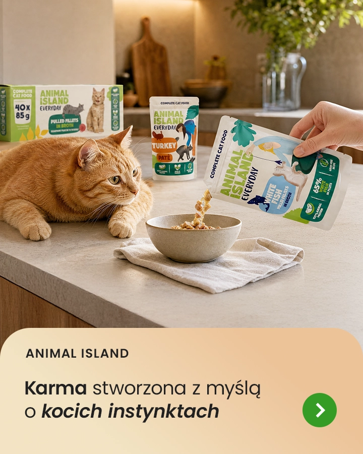 Animal Island – karma stworzona z myślą o kocich instynktach