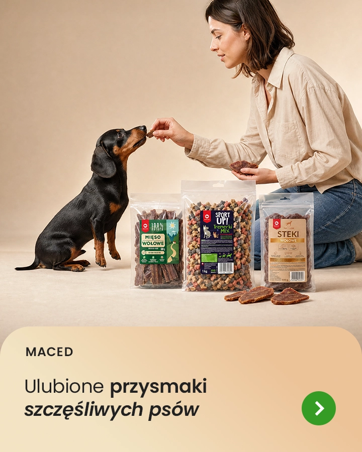 Maced – ulubione przysmaki szczęśliwych psów
