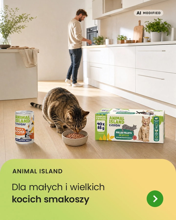 Animal Island – dla małych i wielkich kocich smakoszy