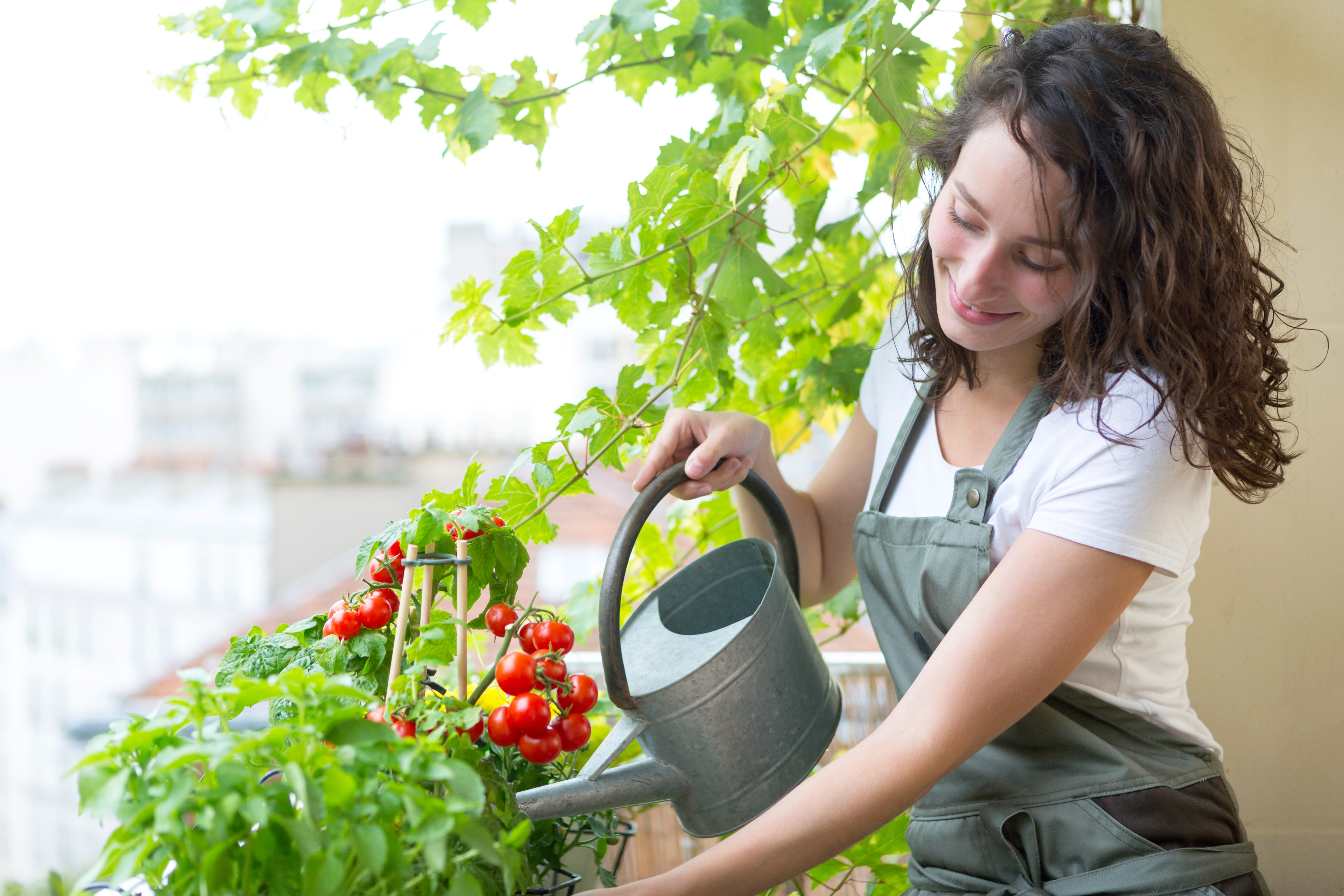 Food forest – co to? Własne warzywa na balkonie i parapecie – przez cały rok!