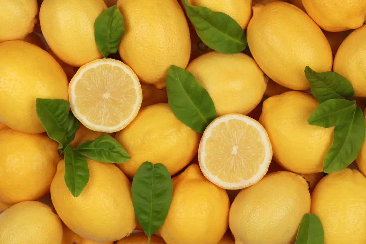 Cytryny - właściwości odżywcze i zdrowotne