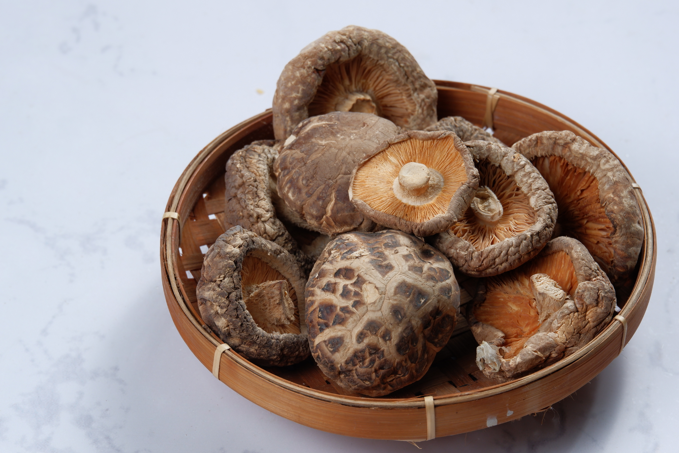 Grzyby witalne – właściwości