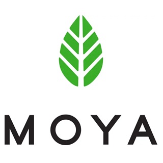 Moya Matcha