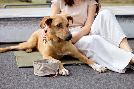 PALOPA Torba i mata dla psa 2w1 Nobo sage