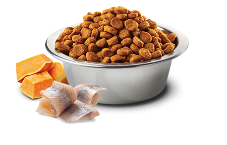 FARMINA ND DOG OCEAN Cod Pumpkin Orange Adult Medium / Maxi 2,5kg