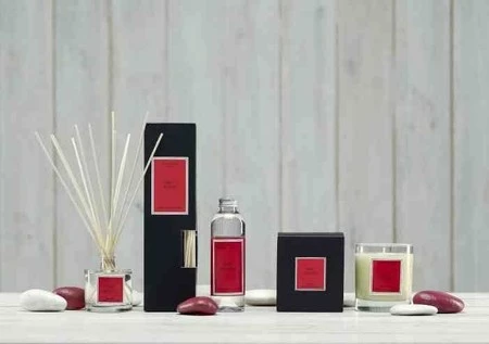 CM - Dyfuzor Santiago Reed 100ml. Red fruits