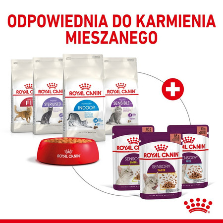 ROYAL CANIN Sensory Smell w sosie 85g