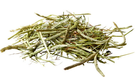 VERSELE LAGA Nature Timothy Hay sianko tymotkowe 1kg