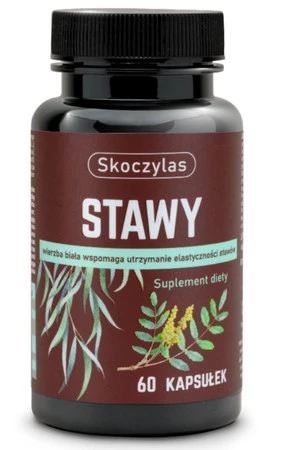 Skoczylas Stawy 60 kaps.