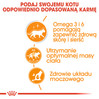 ROYAL CANIN Hair / Skin Care w galaretce 85g