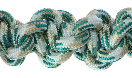 KERBL Zabawka Expand dla psów Dinozaur 47cm