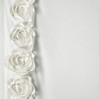 Zasłona MH/Z/ROSES/14/K 140X270 T VELVET