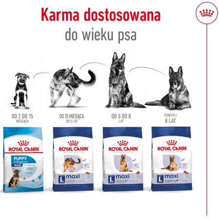 ROYAL CANIN Maxi Ageing 8+ L 15kg