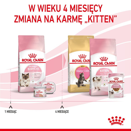 ROYAL CANIN Mother / BABYCAT 2kg