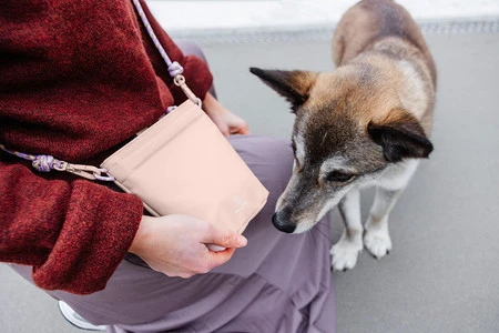 PALOPA Torebka saszetka na smakołyki dla psa Karl soft pink M