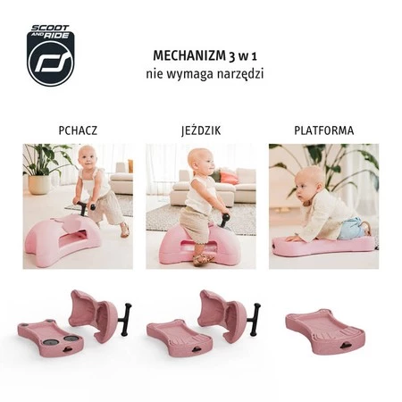 SCOOTANDRIDE My First Ewolucyjny jeździk pchacz 3w1 6 m+ Rose