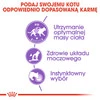 ROYAL CANIN Sterilised w sosie 85g