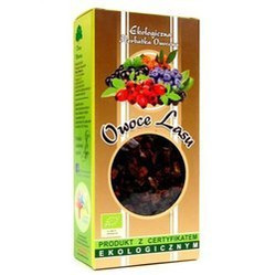 Dary Natury Herbatka Owoce Lasu Eko 100G