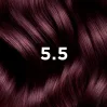 PHYTO COLOR 5.5 JASNY MAHONIOWY BRĄZ