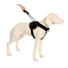 PATENTO PET Szelki Jockey M Czarne