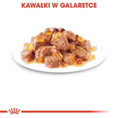 ROYAL CANIN Hair / Skin Care w galaretce 85g