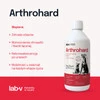 Lab-V ArthroHARD Preparat na wsparcie stawów dla psa i kota 500ml