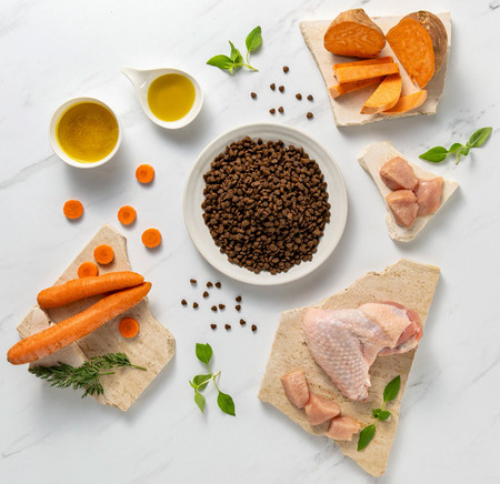 Vet Expert RAW PALEO Mini Puppy Ultra Turkey 750g